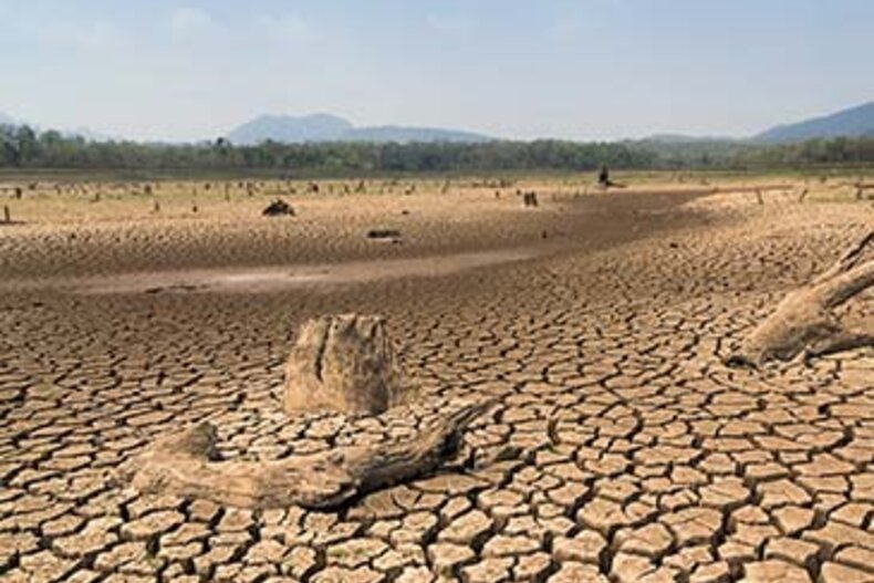 © https://www.un.org/en/observances/desertification-day © https://www.un.org/en/observances/desertification-day