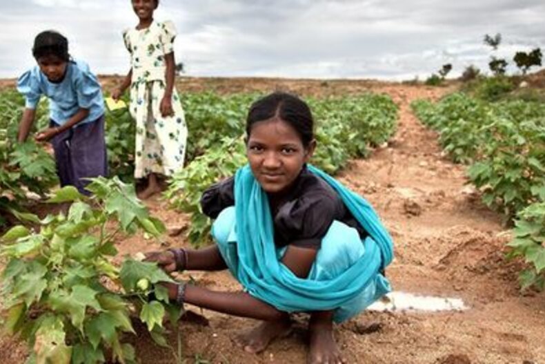 © Indien Kinderarbeit Unicef_uni 88063