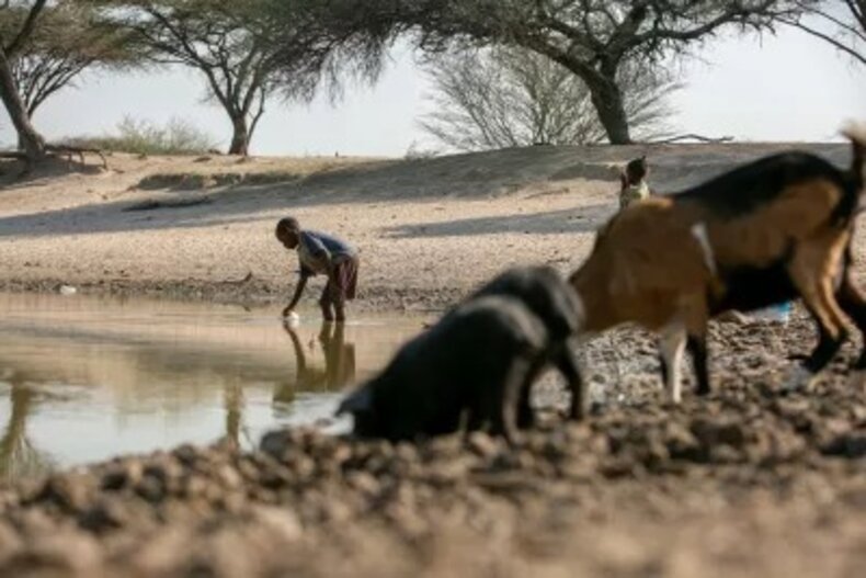 © UNICEF/ UNI336752/ César © UNICEF/ UNI336752/ César